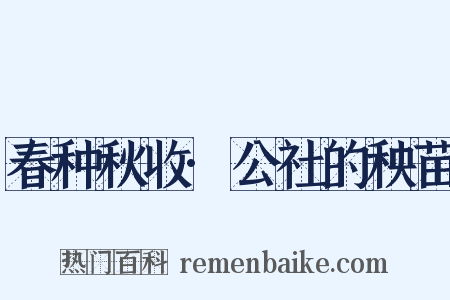 春种秋收·公社的秧苗是什么意思的图片